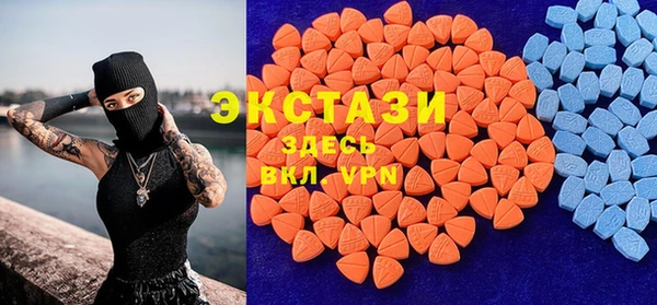 гашик Алексин
