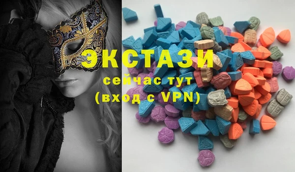 гашик Алексин