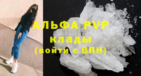 гашик Алексин