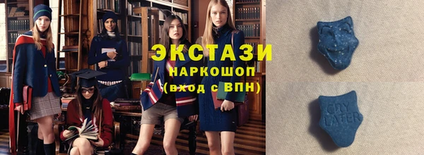 гашик Алексин