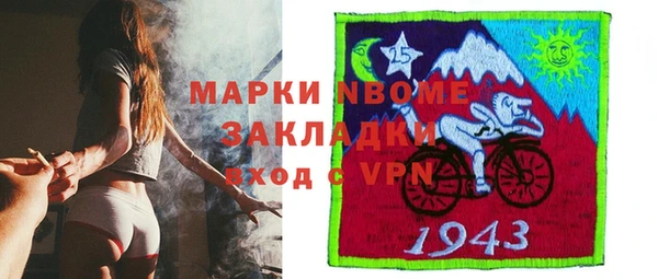 гашик Алексин