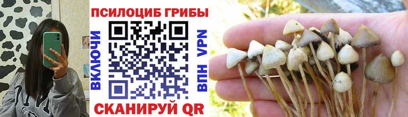 купить наркотики цена Ейск Псилоцибиновые грибы мухоморы