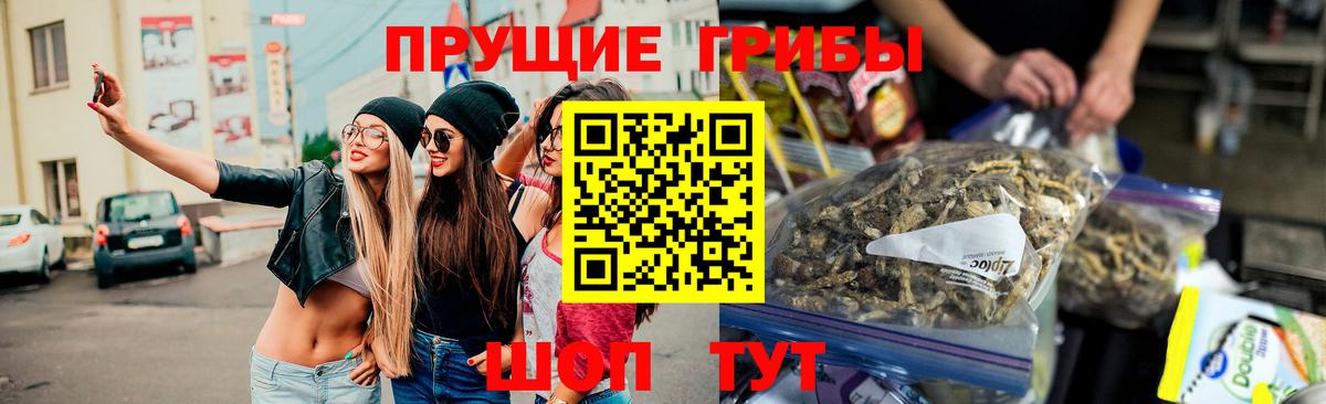 Ейск  Галлюциногенные грибы ЛСД  Галлюциногенные грибы Psilocybe  Вход с VPN 